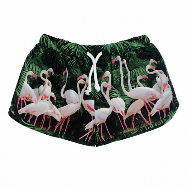 Romey Loves Lulu - Swim Trunks Flamingos